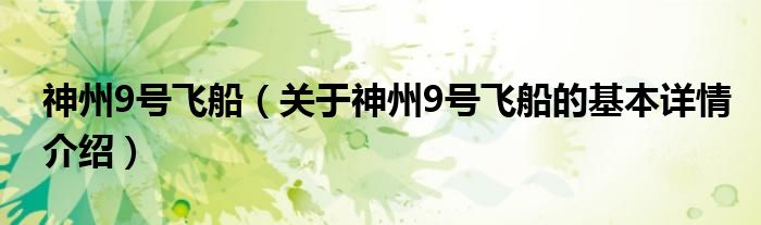 神州9号飞船（关于神州9号飞船的基本详情介绍）