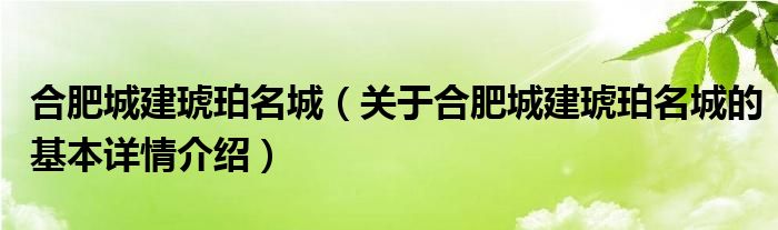 合肥城建琥珀名城（关于合肥城建琥珀名城的基本详情介绍）