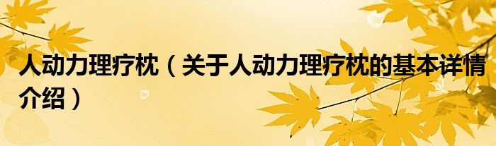 人动力理疗枕（关于人动力理疗枕的基本详情介绍）