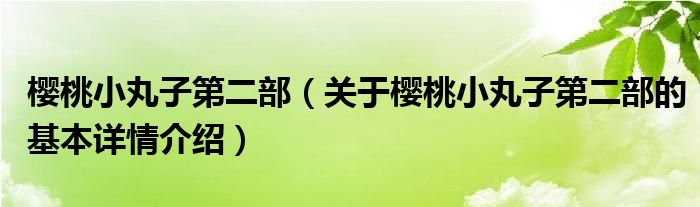 樱桃小丸子第二部（关于樱桃小丸子第二部的基本详情介绍）