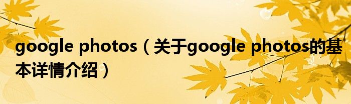 google photos（关于google photos的基本详情介绍）