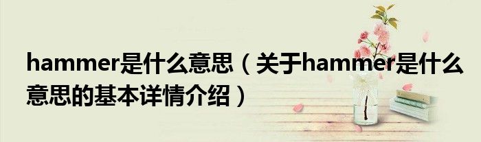 hammer是什么意思（关于hammer是什么意思的基本详情介绍）