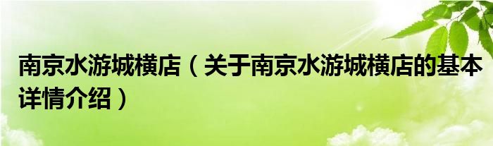 南京水游城横店（关于南京水游城横店的基本详情介绍）