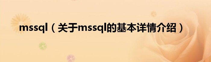 mssql（关于mssql的基本详情介绍）