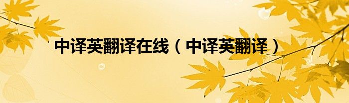 中译英翻译在线（中译英翻译）