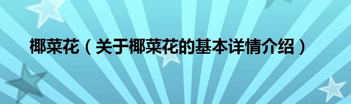 椰菜花（关于椰菜花的基本详情介绍）