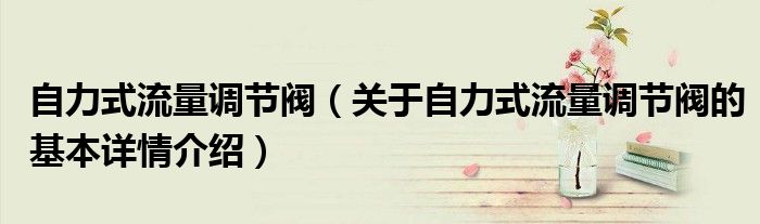 自力式流量调节阀（关于自力式流量调节阀的基本详情介绍）