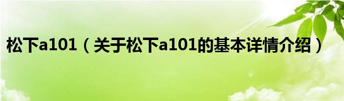 松下a101（关于松下a101的基本详情介绍）