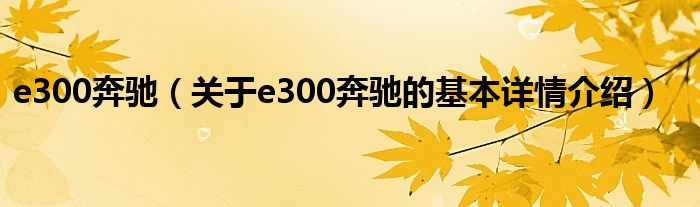 e300奔驰（关于e300奔驰的基本详情介绍）
