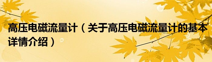 高压电磁流量计（关于高压电磁流量计的基本详情介绍）
