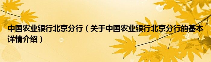 中国农业银行北京分行（关于中国农业银行北京分行的基本详情介绍）