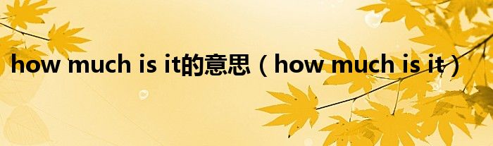 how much is it的意思（how much is it）