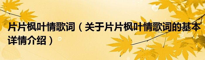 片片枫叶情歌词（关于片片枫叶情歌词的基本详情介绍）
