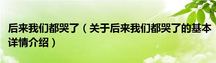 后来我们都哭了（关于后来我们都哭了的基本详情介绍）