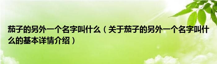 茄子的另外一个名字叫什么（关于茄子的另外一个名字叫什么的基本详情介绍）