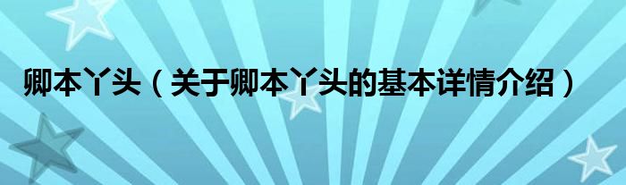 卿本丫头（关于卿本丫头的基本详情介绍）