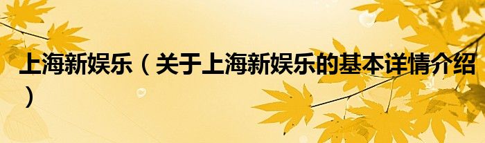 上海新娱乐（关于上海新娱乐的基本详情介绍）
