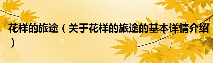 花样的旅途（关于花样的旅途的基本详情介绍）