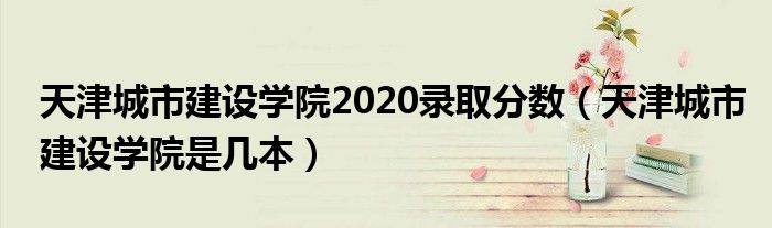天津城市建设学院2020录取分数（天津城市建设学院是几本）
