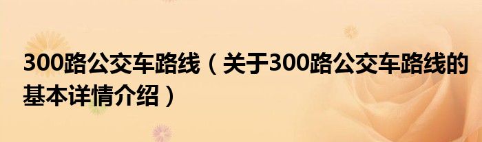 300路公交车路线（关于300路公交车路线的基本详情介绍）