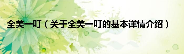 全美一叮（关于全美一叮的基本详情介绍）