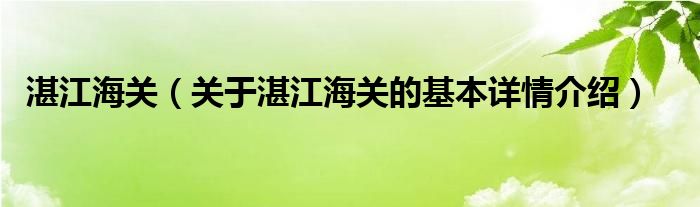 湛江海关（关于湛江海关的基本详情介绍）