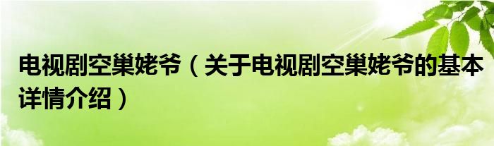 电视剧空巢姥爷（关于电视剧空巢姥爷的基本详情介绍）