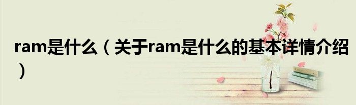 ram是什么（关于ram是什么的基本详情介绍）