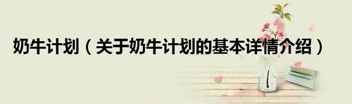 奶牛计划（关于奶牛计划的基本详情介绍）