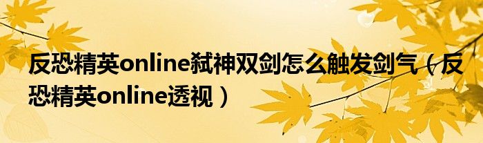 反恐精英online弑神双剑怎么触发剑气（反恐精英online透视）