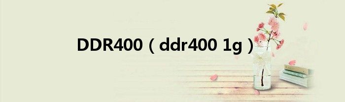 DDR400（ddr400 1g）