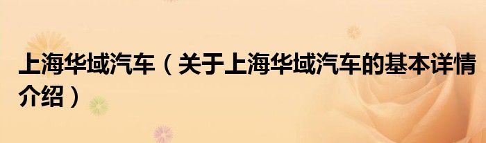 上海华域汽车（关于上海华域汽车的基本详情介绍）
