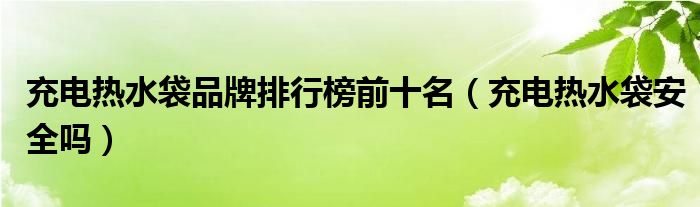 充电热水袋品牌排行榜前十名（充电热水袋安全吗）