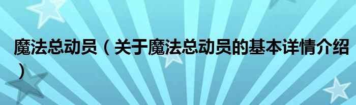 魔法总动员（关于魔法总动员的基本详情介绍）