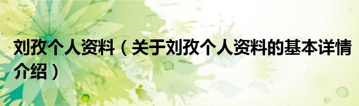 刘孜个人资料（关于刘孜个人资料的基本详情介绍）
