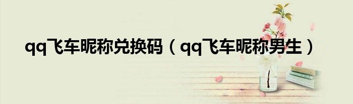 qq飞车昵称兑换码（qq飞车昵称男生）