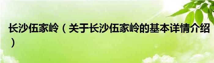长沙伍家岭（关于长沙伍家岭的基本详情介绍）
