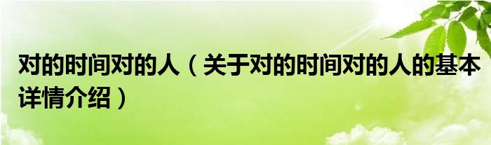对的时间对的人（关于对的时间对的人的基本详情介绍）