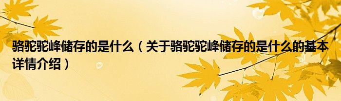 骆驼驼峰储存的是什么（关于骆驼驼峰储存的是什么的基本详情介绍）