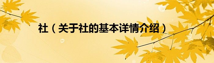 社（关于社的基本详情介绍）
