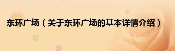 东环广场（关于东环广场的基本详情介绍）