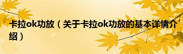 卡拉ok功放（关于卡拉ok功放的基本详情介绍）