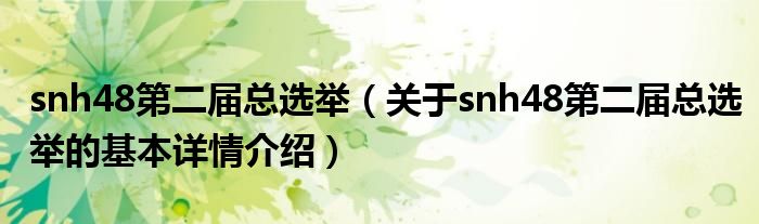 snh48第二届总选举（关于snh48第二届总选举的基本详情介绍）