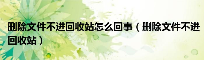 删除文件不进回收站怎么回事（删除文件不进回收站）
