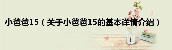 小爸爸15（关于小爸爸15的基本详情介绍）