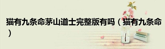 猫有九条命茅山道士完整版有吗（猫有九条命）