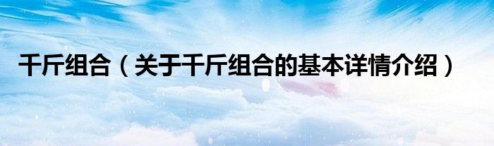 千斤组合（关于千斤组合的基本详情介绍）