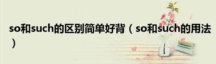 so和such的区别简单好背（so和such的用法）