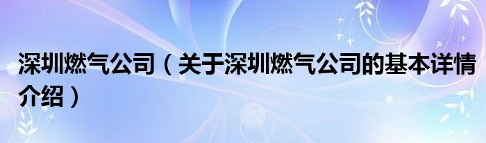 深圳燃气公司（关于深圳燃气公司的基本详情介绍）