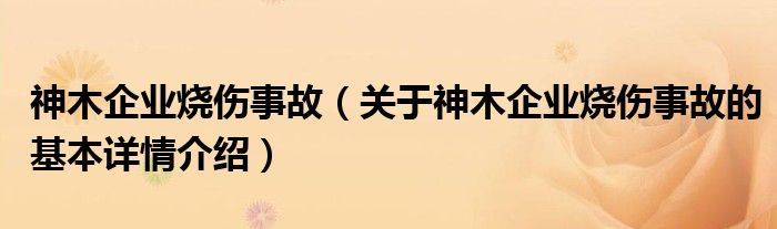 神木企业烧伤事故（关于神木企业烧伤事故的基本详情介绍）